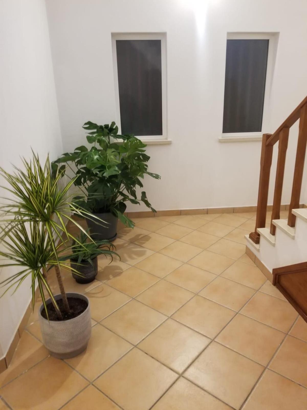 Le Parisien 1 Apartamento Serra d'El-Rei Exterior foto